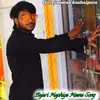 About Bajari Maphiya Meena Song Song